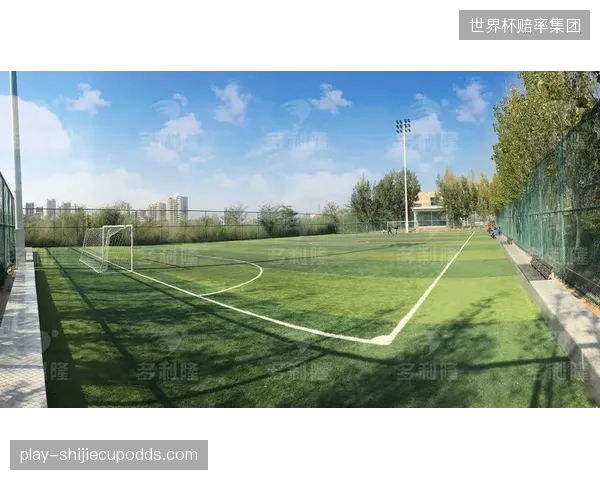 球员需尽快适应人工草坪的球速与弹跳，避免非战斗减员。
